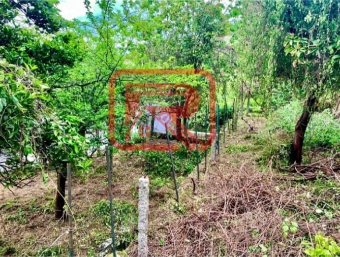 Moradia para Venda em Eiriz Foto 6