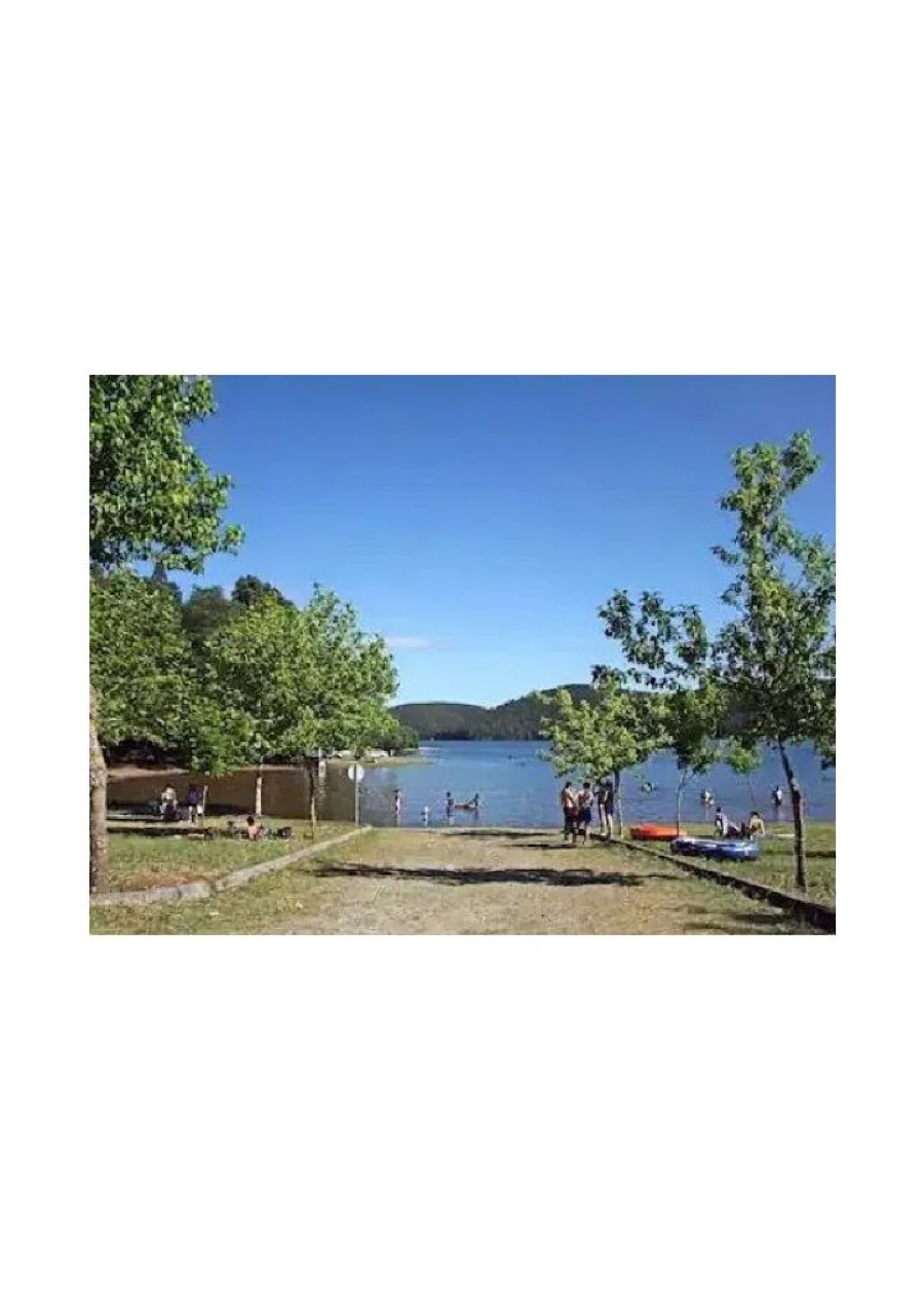 Moradia T1 para Arrendamento em Santa Comba Dão Foto 9