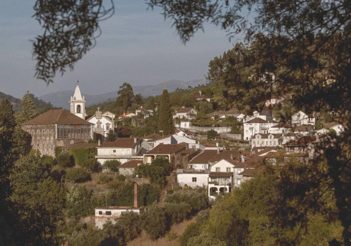 Terreno para Venda em Arganil Foto 3