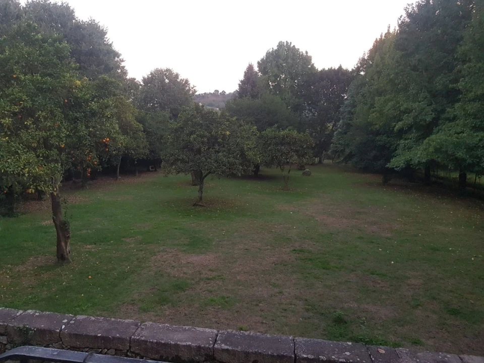 Quinta T5 para Venda em Pombeiro Foto 7