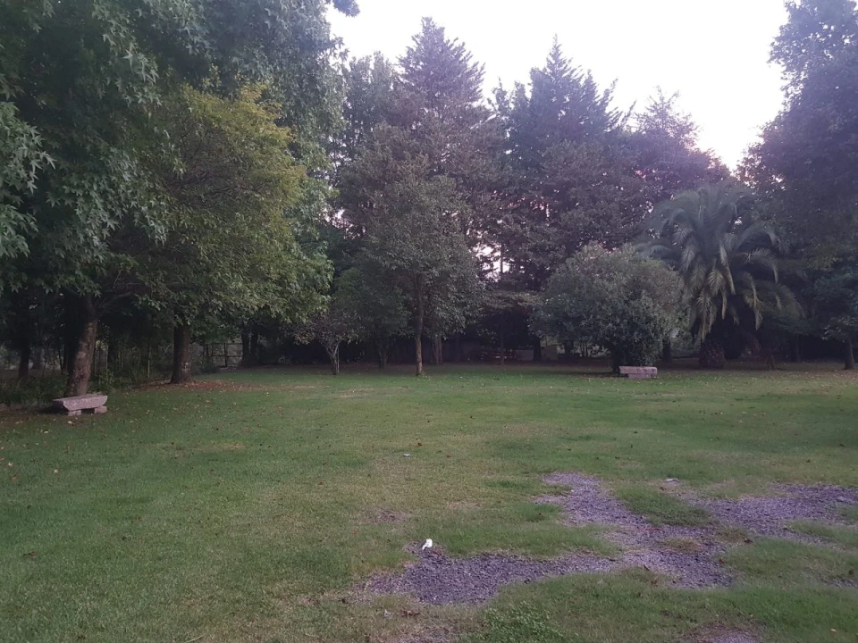 Quinta T5 para Venda em Pombeiro Foto 9