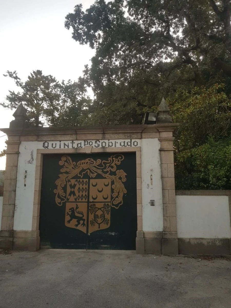 Quinta T5 para Venda em Pombeiro Foto 2