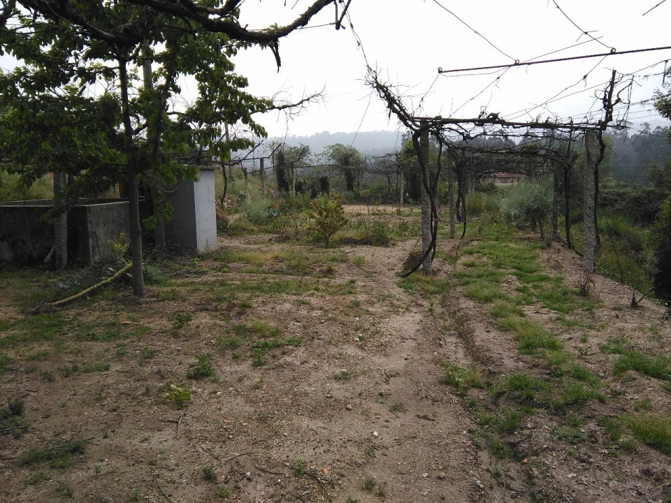 Terreno para Venda em Parada de Todeia Foto 2