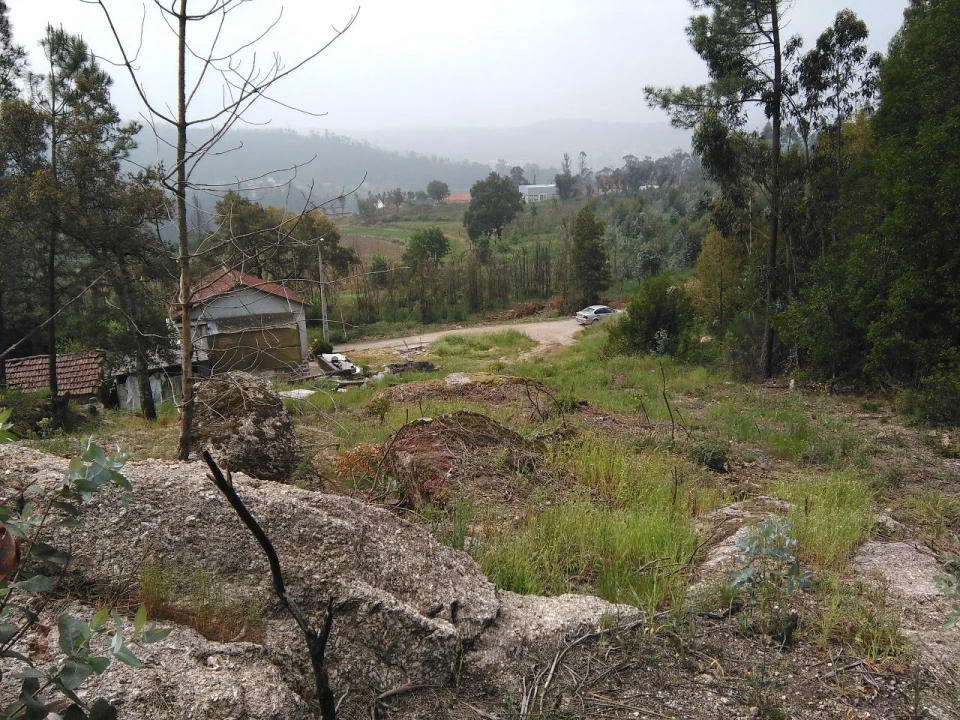 Terreno para Venda em Parada de Todeia Foto 3