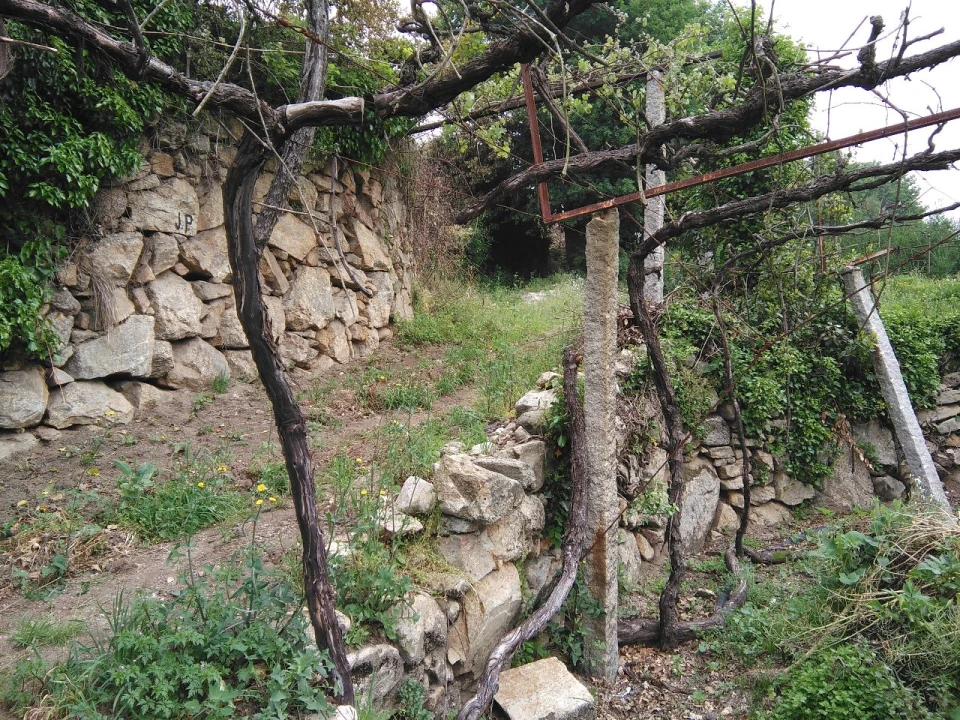 Terreno para Venda em Parada de Todeia Foto 4