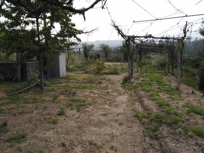 Terreno para Venda em Parada de Todeia Foto 2