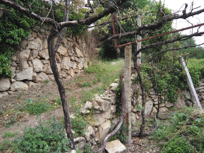Terreno para Venda em Parada de Todeia Foto 4