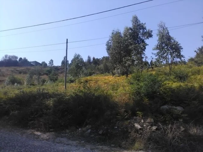 Terreno para Venda em Freamunde Foto 1
