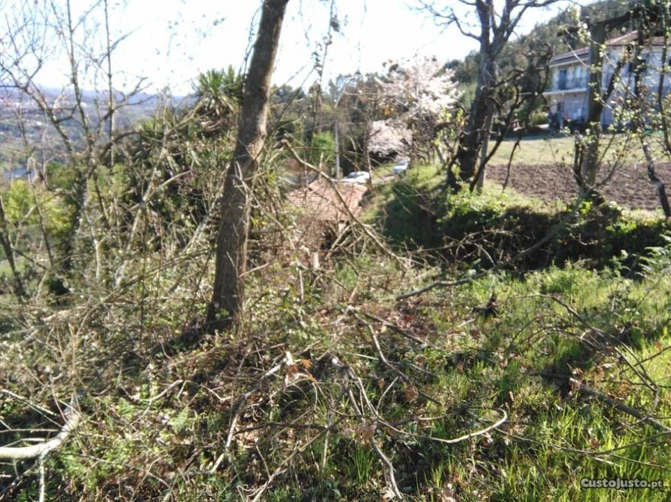 Terreno para Venda em Luzim Foto 3