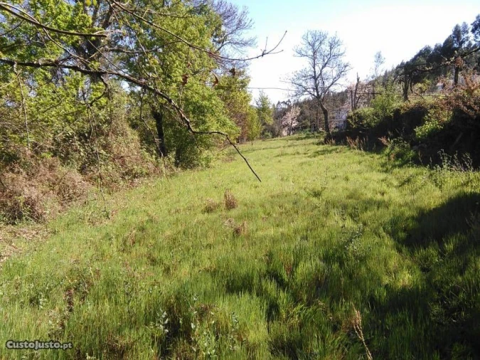 Terreno para Venda em Luzim Foto 1