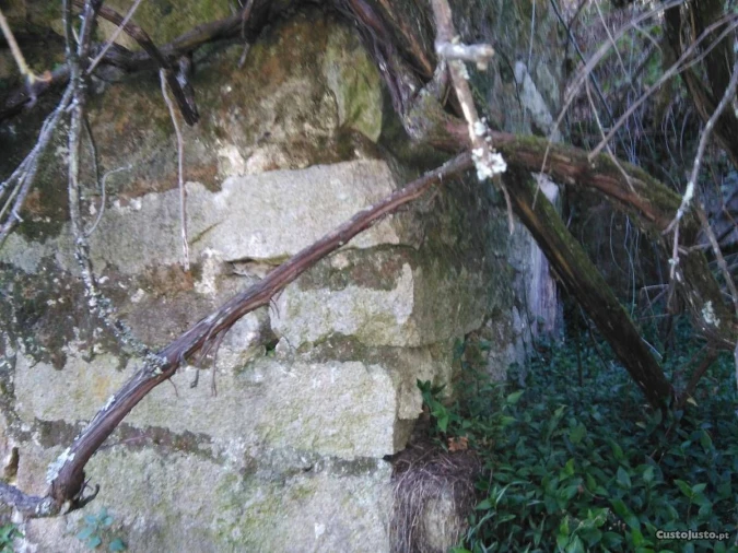 Terreno para Venda em Luzim Foto 2