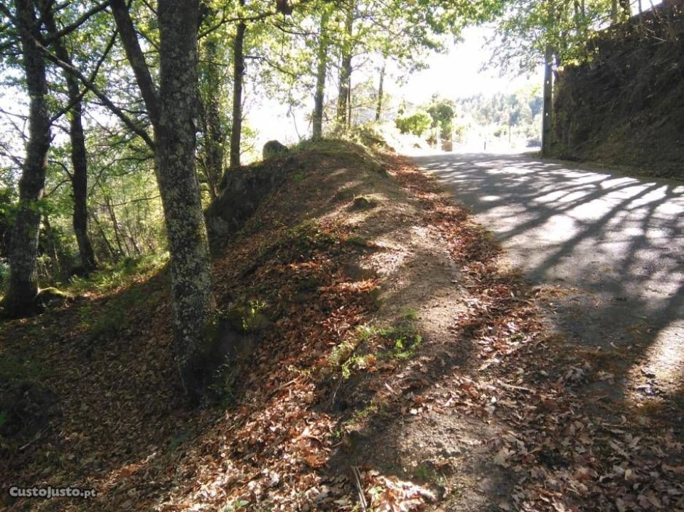 Terreno para Venda em Luzim Foto 4