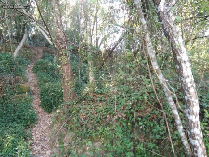 Terreno para Venda em Luzim Foto 2