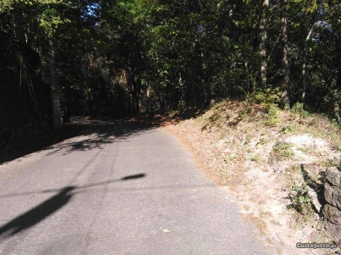 Terreno para Venda em Luzim Foto 1