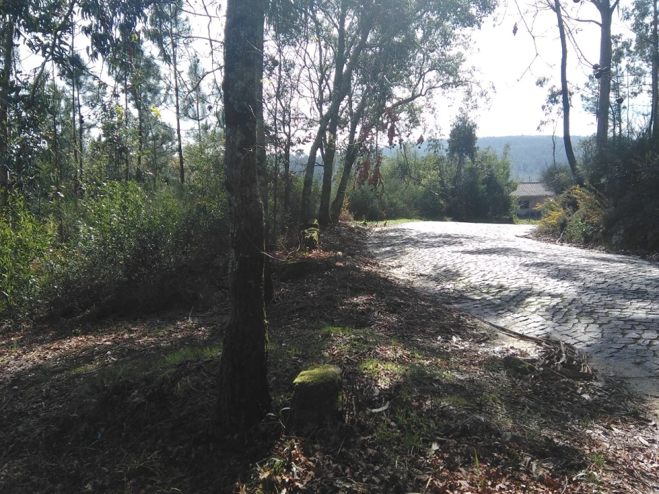 Terreno para Venda em Lagares Foto 3