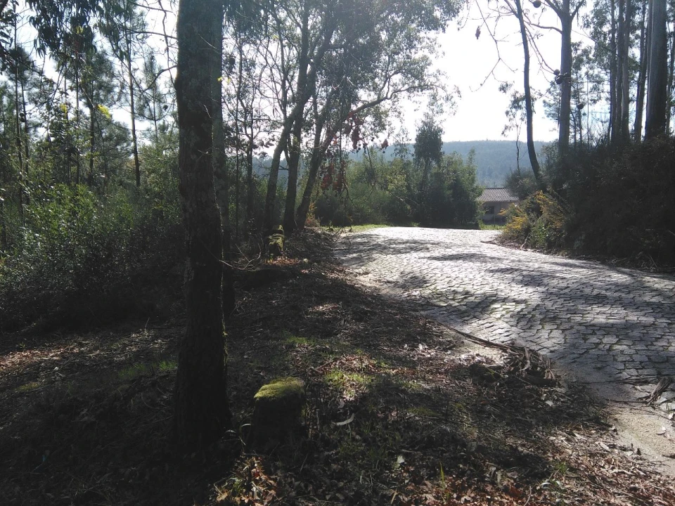 Terreno para Venda em Lagares Foto 4