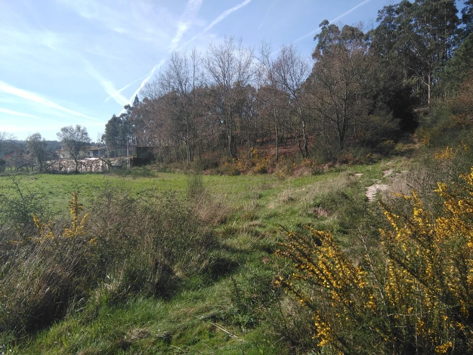 Terreno para Venda em Lagares Foto 7
