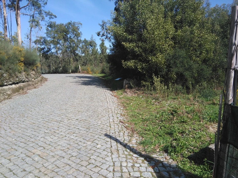 Terreno para Venda em Lagares Foto 8