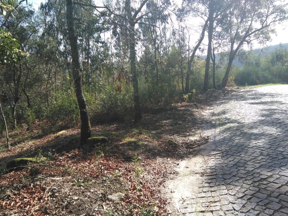 Terreno para Venda em Lagares Foto 9