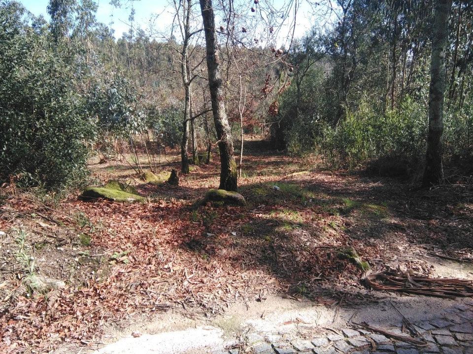 Terreno para Venda em Lagares Foto 10