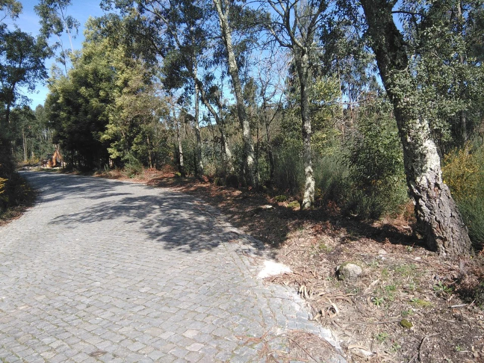 Terreno para Venda em Lagares Foto 11