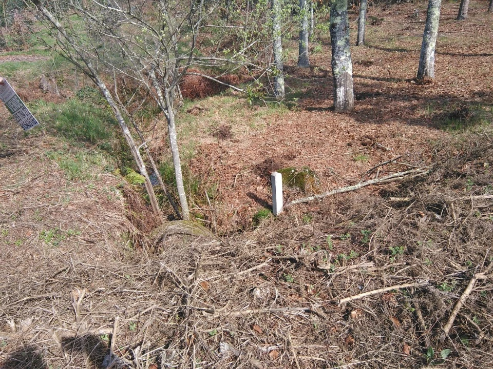 Terreno para Venda em Lagares Foto 16
