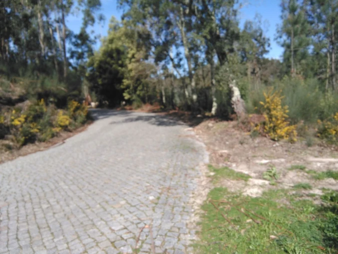 Terreno para Venda em Lagares