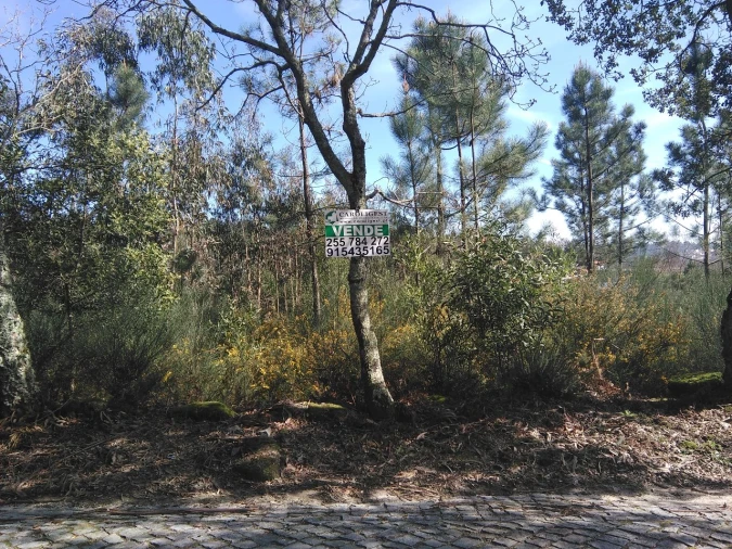 Terreno para Venda em Lagares Foto 5
