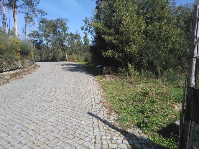 Terreno para Venda em Lagares Foto 8
