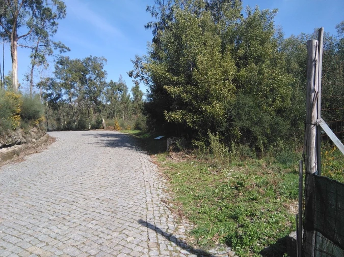 Terreno para Venda em Lagares Foto 12