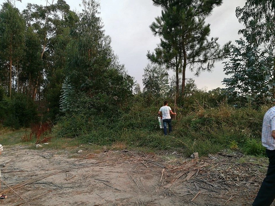 Terreno para Venda em Vila Cova Foto 7