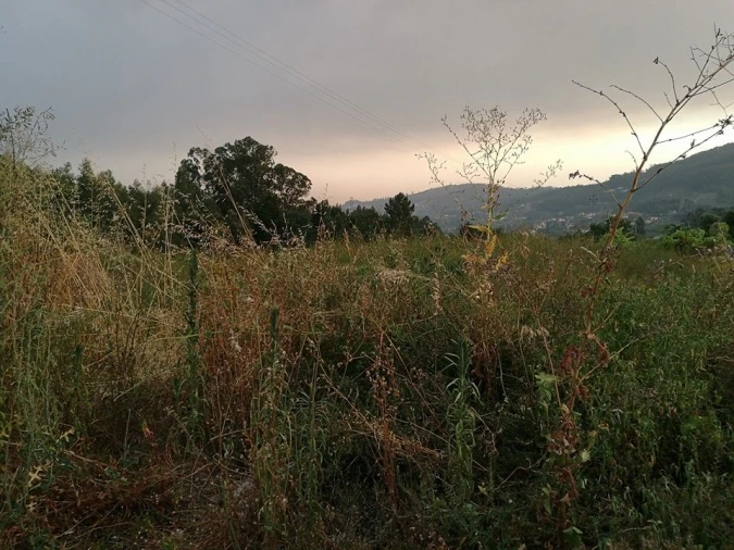 Terreno para Venda em Vila Cova Foto 6