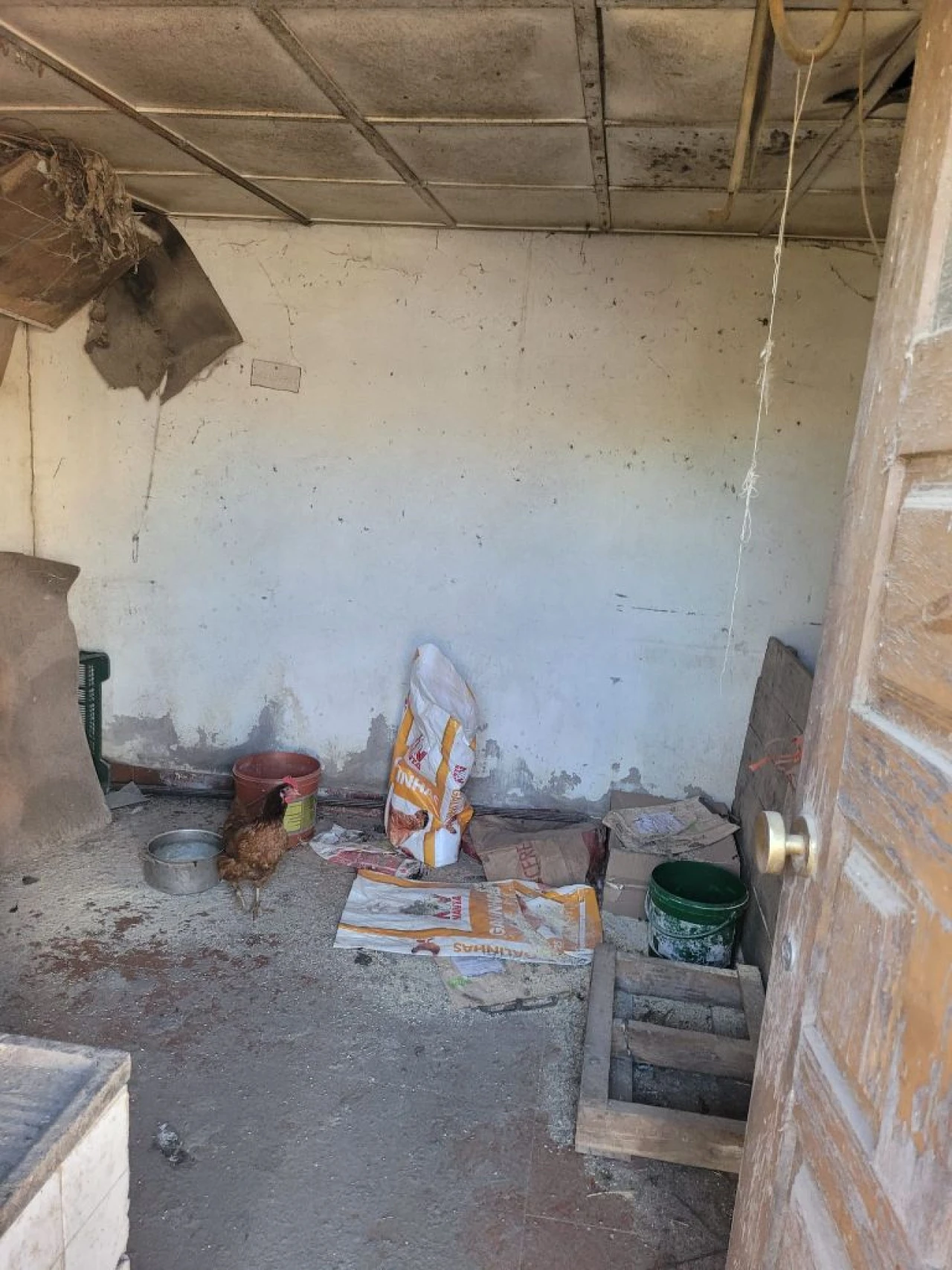 Moradia T3 para Venda em Paredes Foto 22