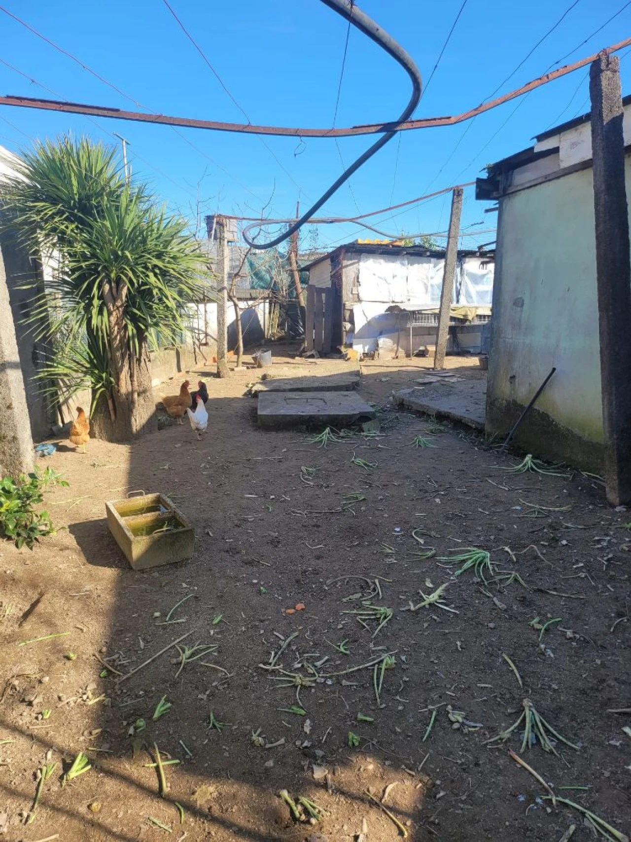 Moradia T3 para Venda em Paredes Foto 35