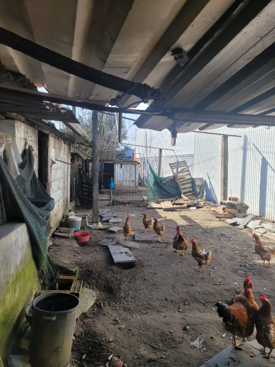 Moradia T3 para Venda em Paredes Foto 28