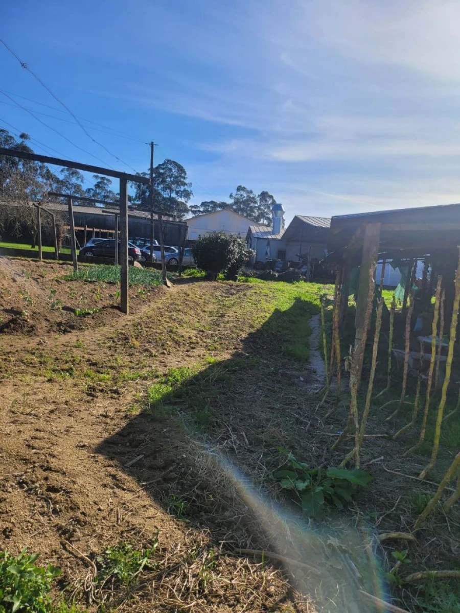 Moradia T3 para Venda em Paredes Foto 30