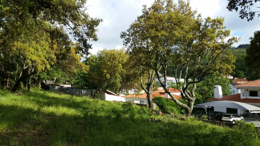 Terreno P/ Prédio para Venda em Castelo de Vide Foto 8