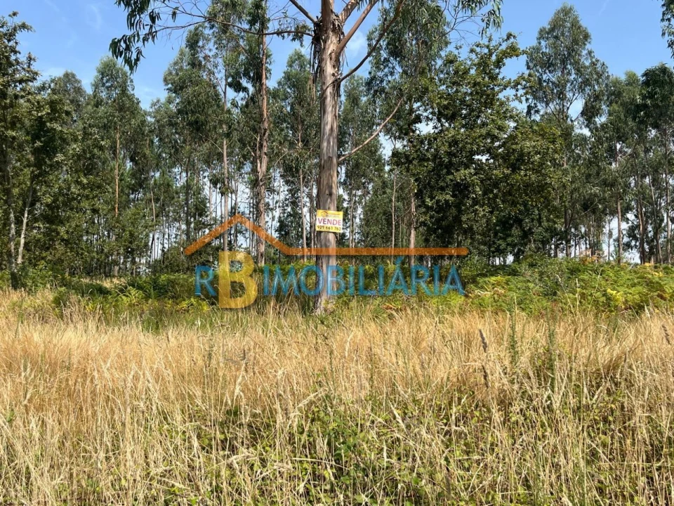 Terreno P/ Prédio para Venda em Escariz Foto 8