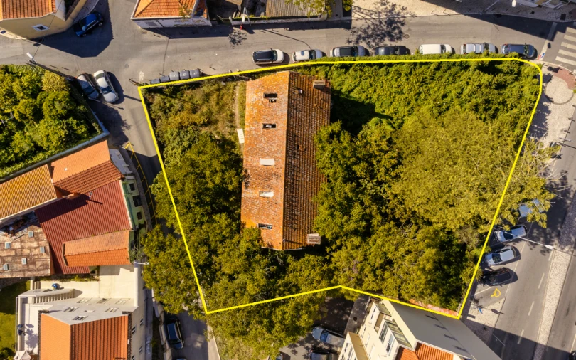 Terreno P/ Prédio para Venda em Oeiras Foto 2