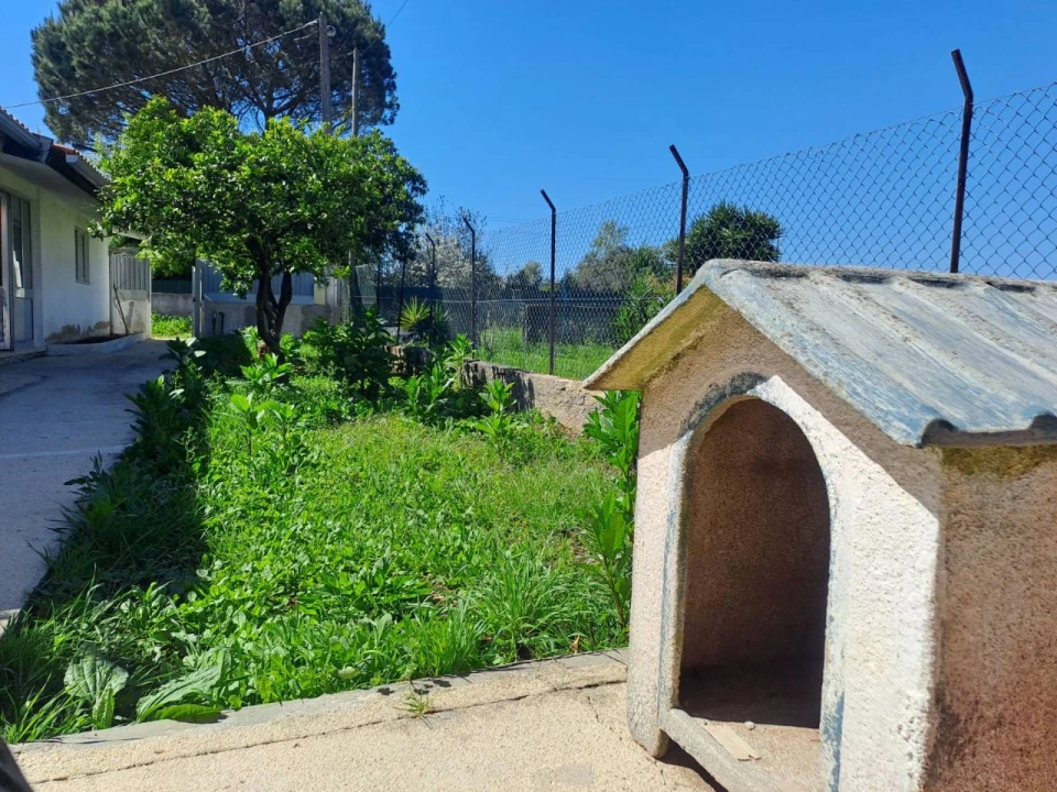 Moradia T2 para Arrendamento em Póvoa Marta Foto 2