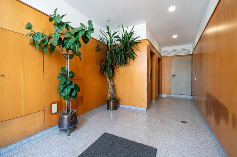 Prédio para Venda em São João da Madeira Foto 1