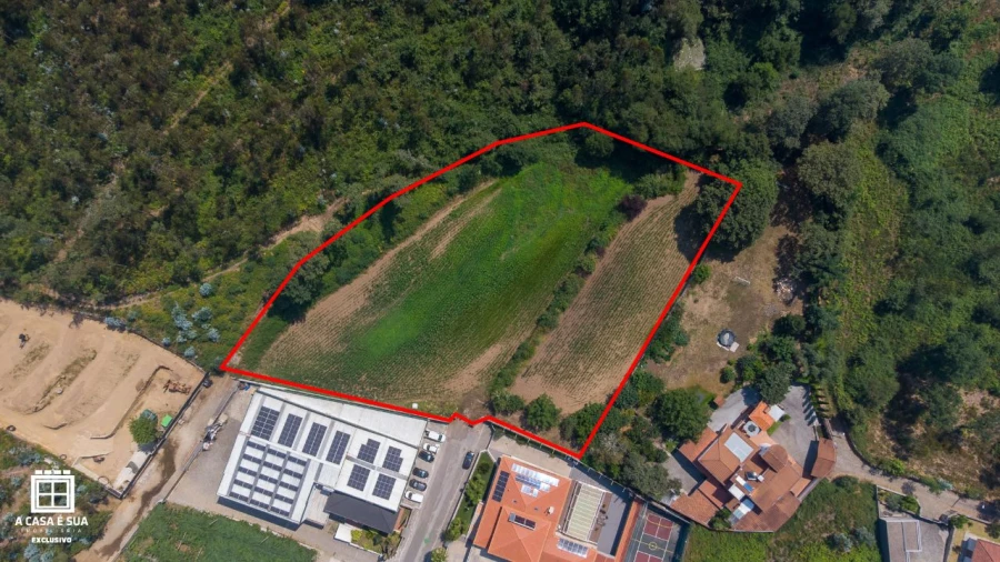 Terreno P/ Prédio para Venda em Reguenga Foto 2
