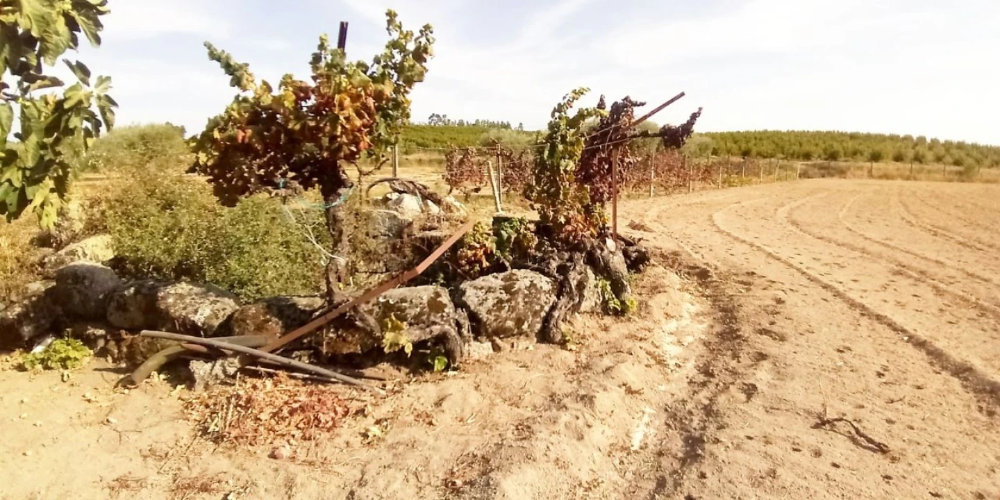 Terreno para Venda em Póvoa de Atalaia Foto 5