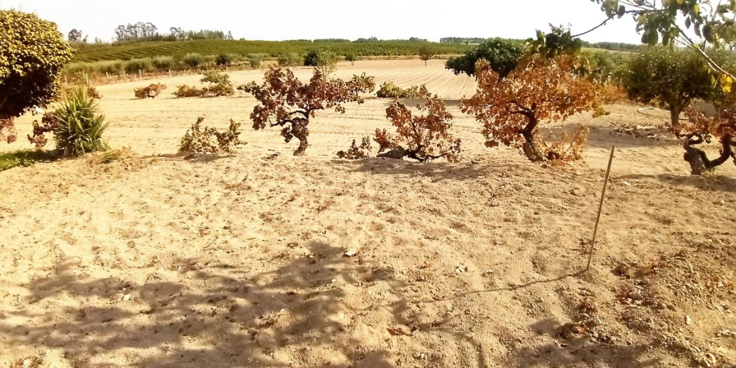 Terreno para Venda em Póvoa de Atalaia Foto 6