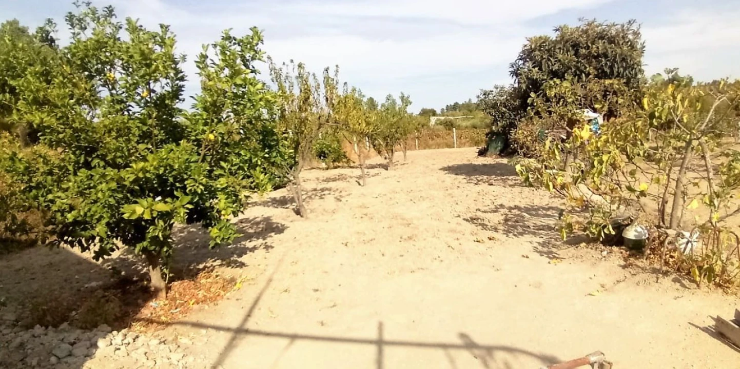 Terreno para Venda em Póvoa de Atalaia Foto 8