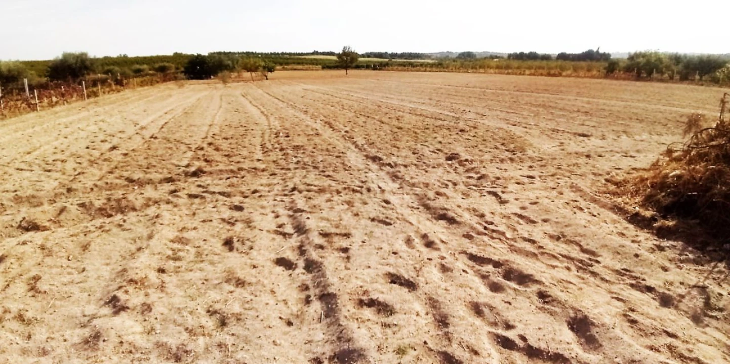 Terreno para Venda em Póvoa de Atalaia Foto 13