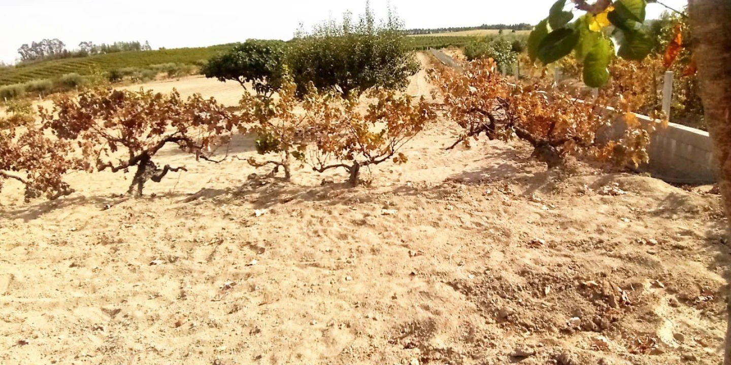 Terreno para Venda em Póvoa de Atalaia Foto 12