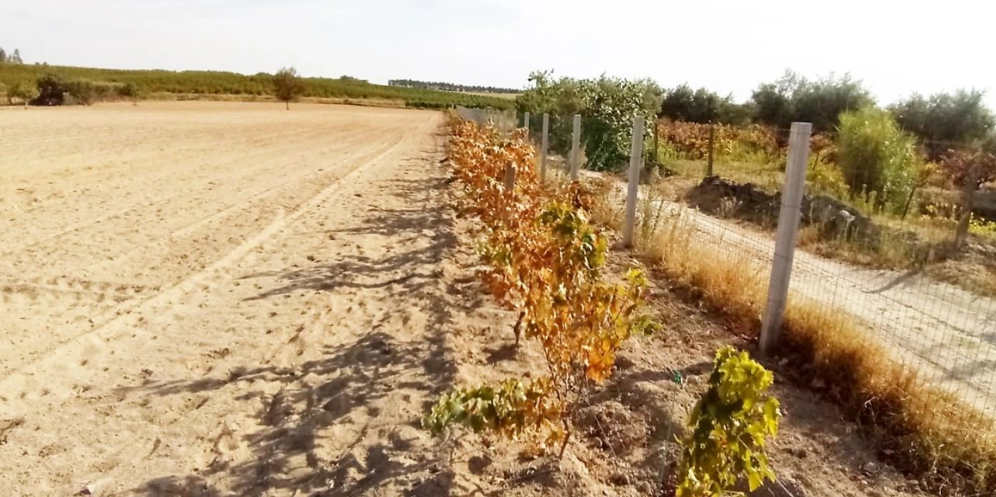 Terreno para Venda em Póvoa de Atalaia Foto 10