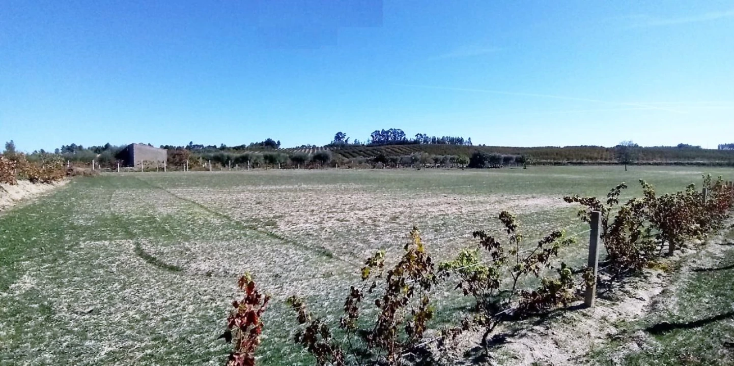 Terreno para Venda em Póvoa de Atalaia Foto 21