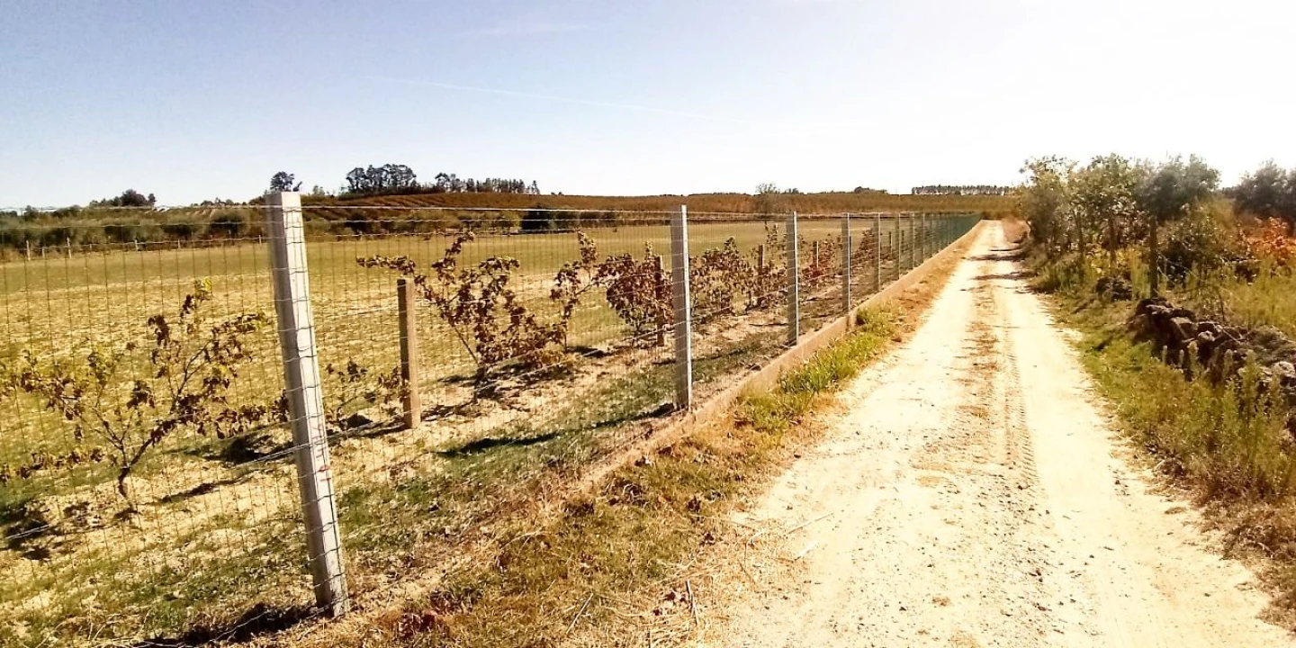 Terreno para Venda em Póvoa de Atalaia Foto 25